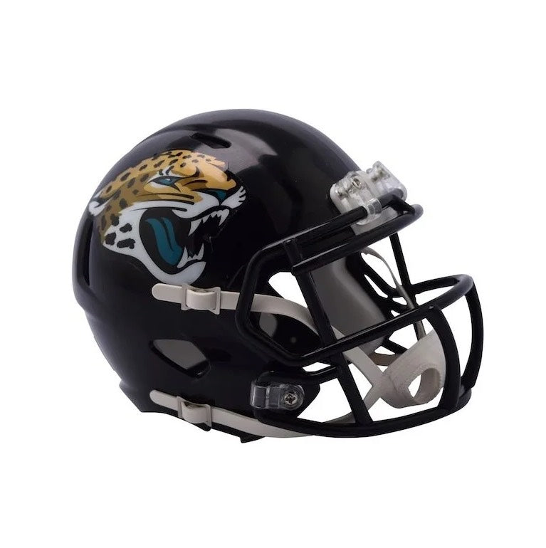 NFL Mini Speed Helmet Mini Casque Riddell