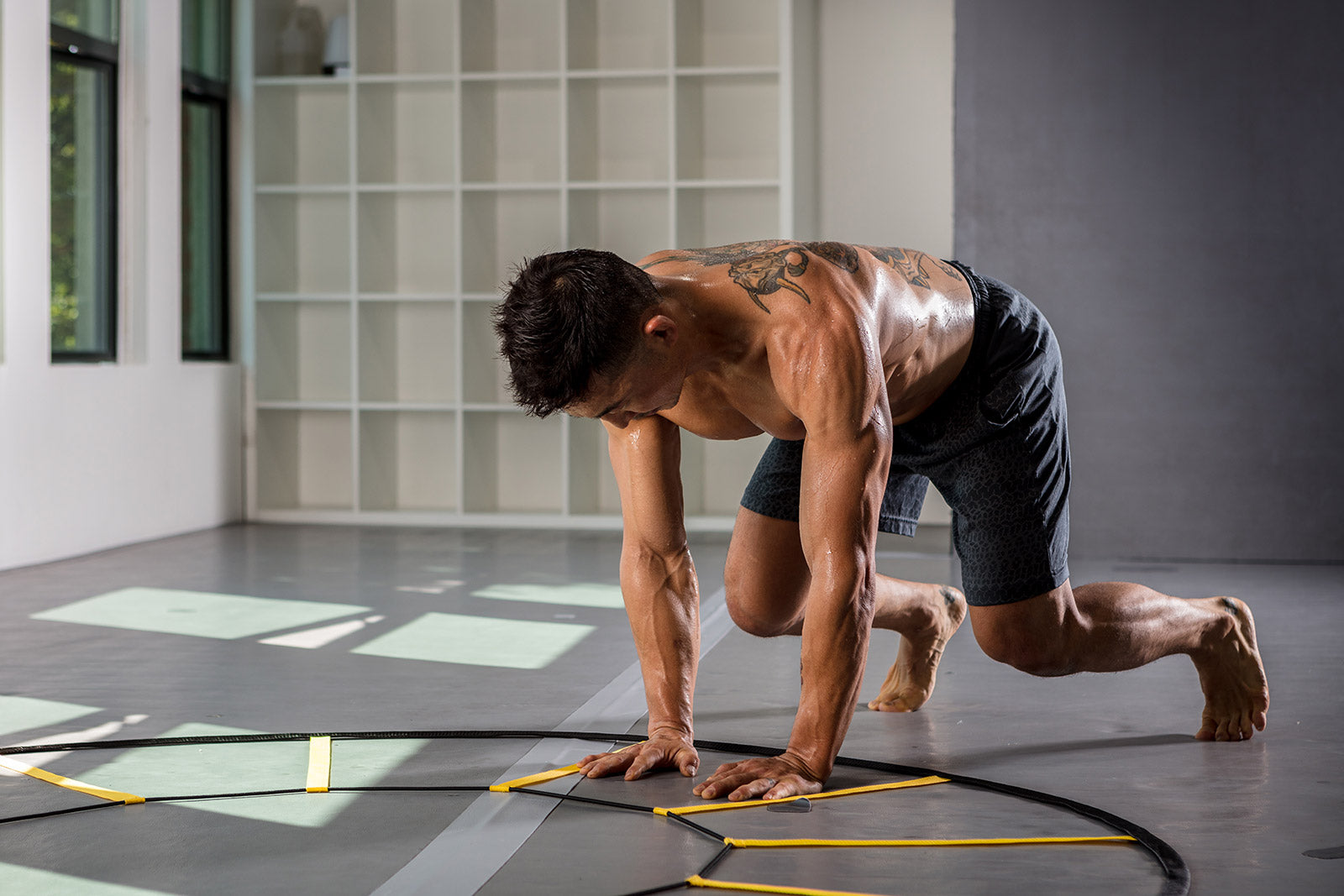 The Webby Agility Trainer - Beastfoot