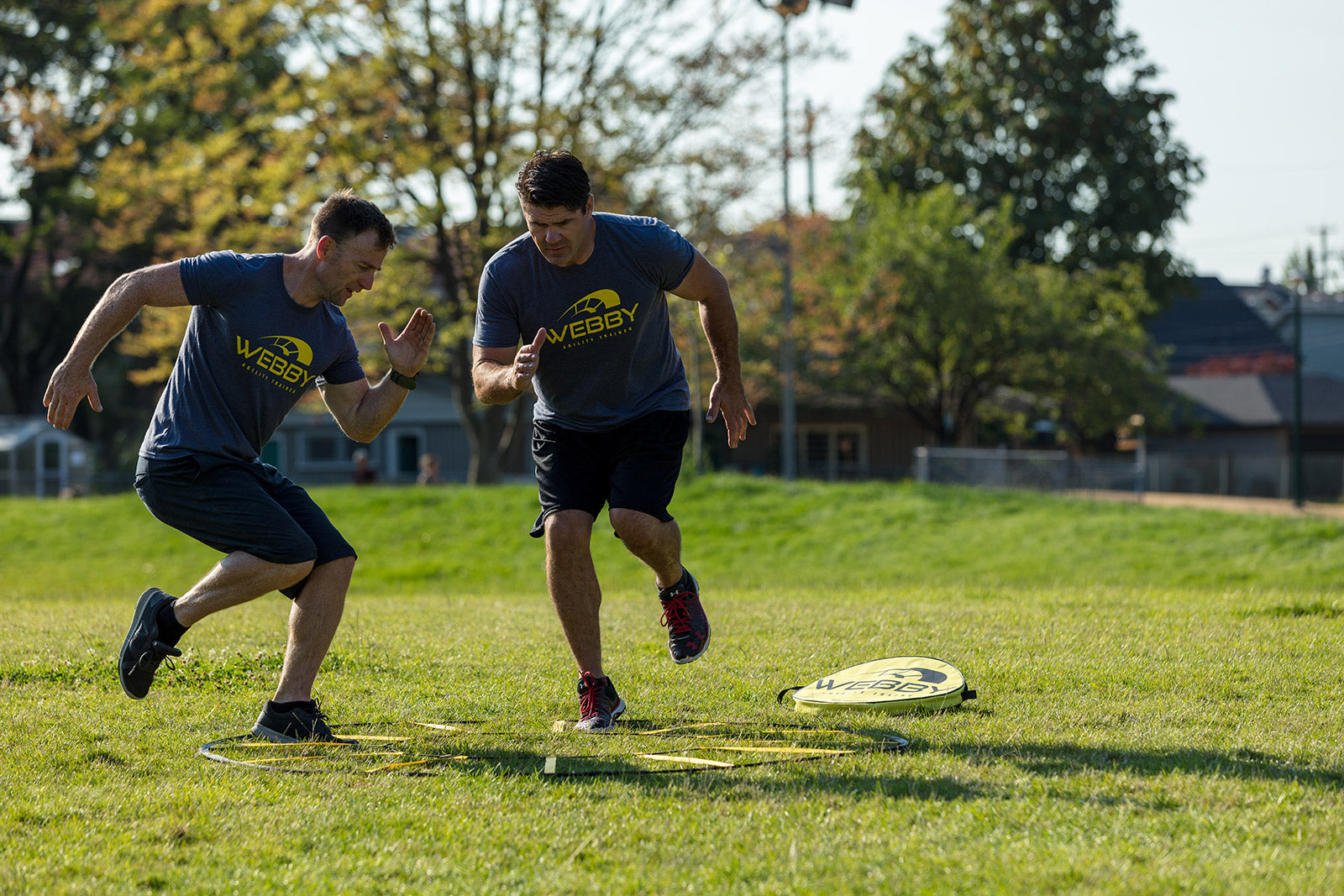 The Webby Agility Trainer - Beastfoot