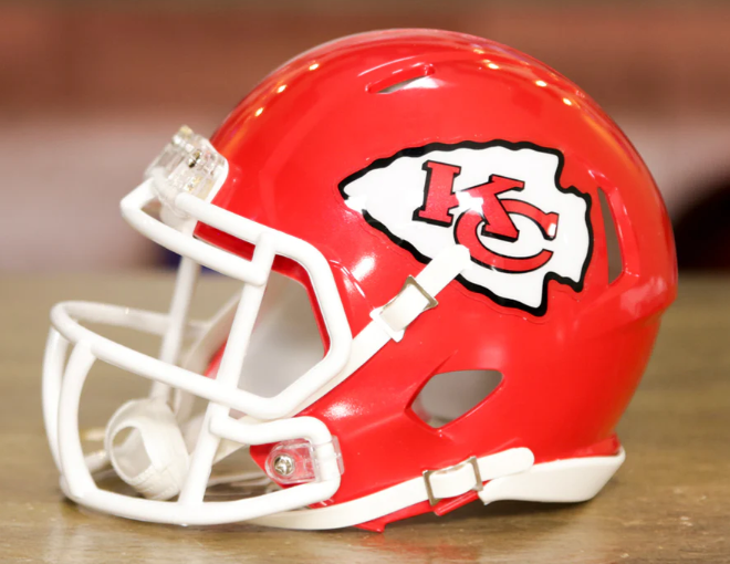 NFL Mini Speed Helmet Mini Casque Riddell