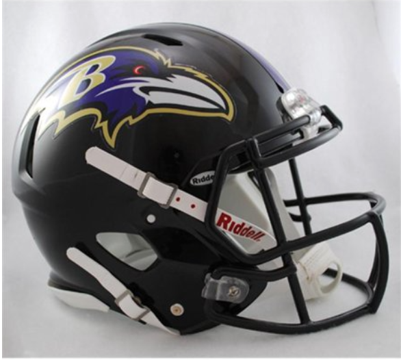 NFL Mini Speed Helmet Mini Casque Riddell