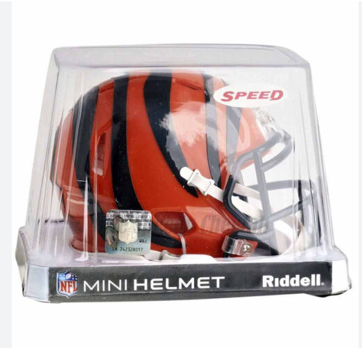 NFL Mini Speed Helmet Mini Casque Riddell