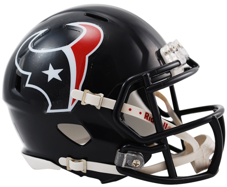 NFL Mini Speed Helmet - Beastfoot